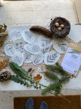 Load image into Gallery viewer, Stick and Stitch