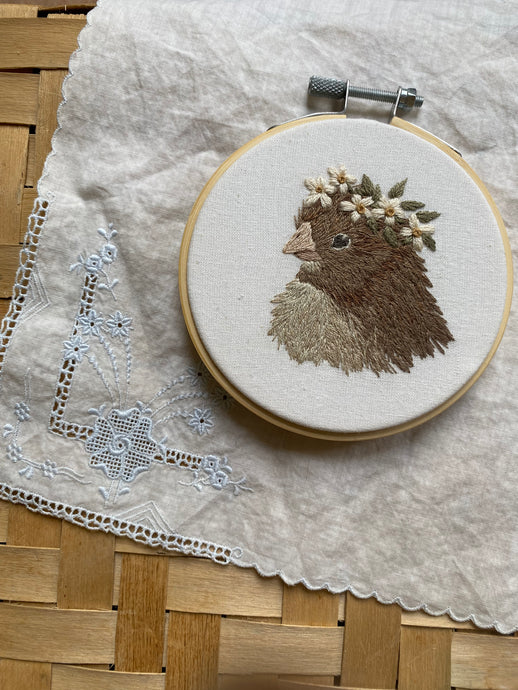Little birdy